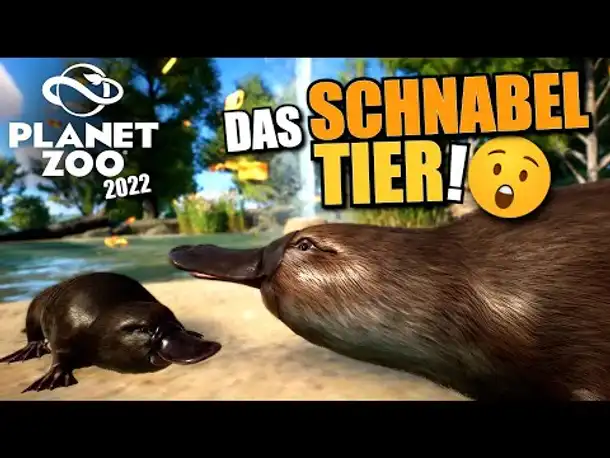 Schnabeltier mit Unterwasserblick - Planet Zoo 2022 | Wetlands DLC