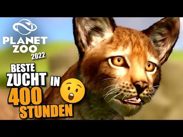 Luchs Baby ... und was für eins! - Planet Zoo 2022 | Europa DLC