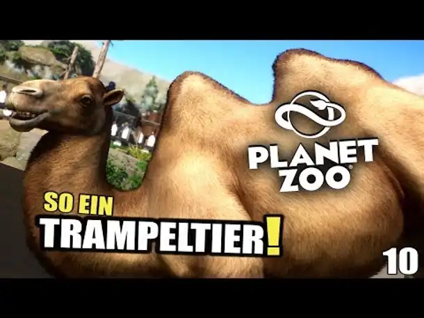 PLANET ZOO - 10 - So ein Trampeltier! | Planet Zoo Deutsch ► Franchise Mode