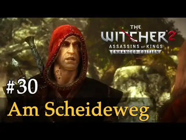 #30: Am Scheideweg ✦ Let's Play The Witcher 2 (Blind / Schwer / Deutsch)