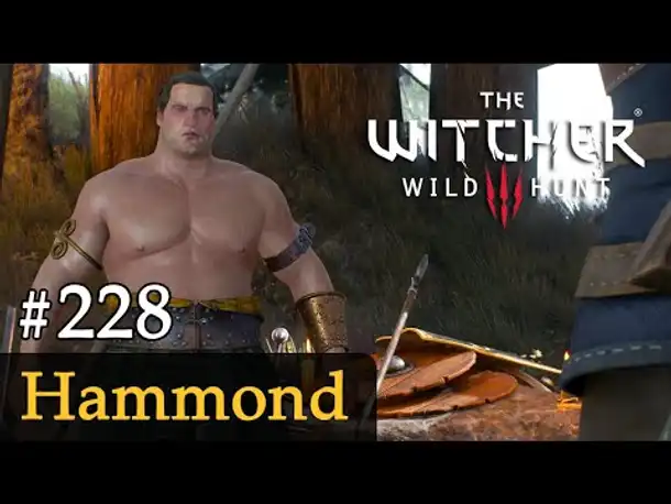 #228: Hammond ✦ Let's Play The Witcher 3 (Next Gen / Slow-, Long- & Roleplay)
