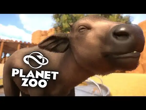 PLANET ZOO Beta - 22 -  | Nachwuchs in Safari ► Franchise Mode