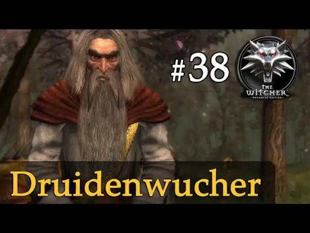 Let's Play The Witcher 1 #38: Druidenwucher (Modded / Schwer)