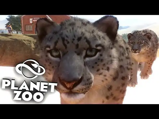 PLANET ZOO Beta - 12 - Eisige Schneeleoparden | Planet Zoo Deutsch ► Franchise Mode