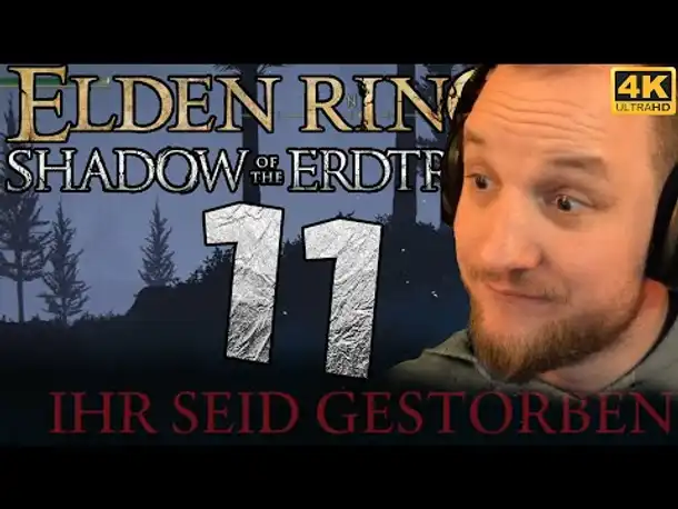 Lets Play Elden Ring Shadow of the Erdtree [DLC] (Deutsch) - [4K] #11 - Freier Fall 🤬💀🤡