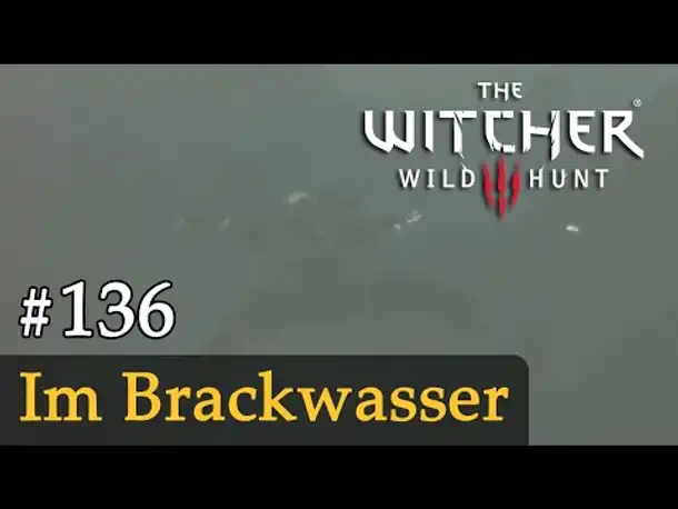 #136: Im Brackwasser ✦ Let's Play The Witcher 3 (Next Gen / Slow-, Long- & Roleplay)