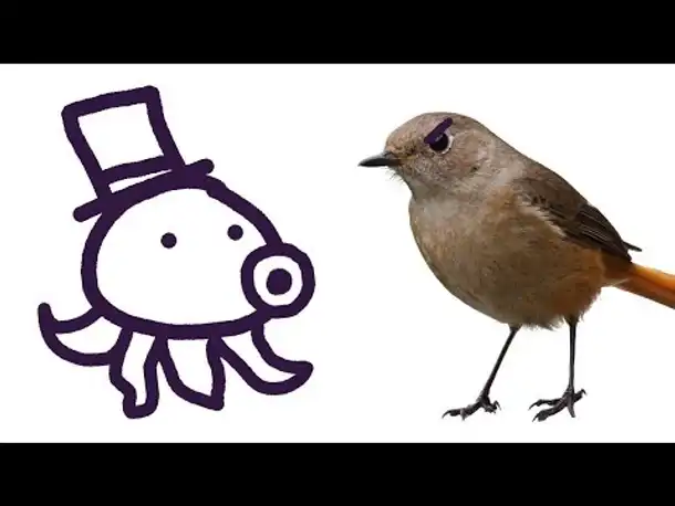 Zombey ist ein vogelbekämpfender Oktopus.