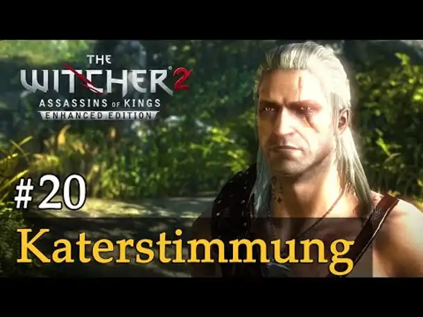 #20: Katerstimmung ✦ Let's Play The Witcher 2 (Blind / Schwer / Deutsch)