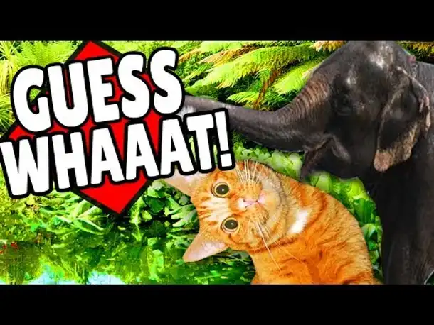 BIER AUS ELEFANTENKOT vs. KATZENURIN-LIMONADE ✪ Interaktives Faktenquiz