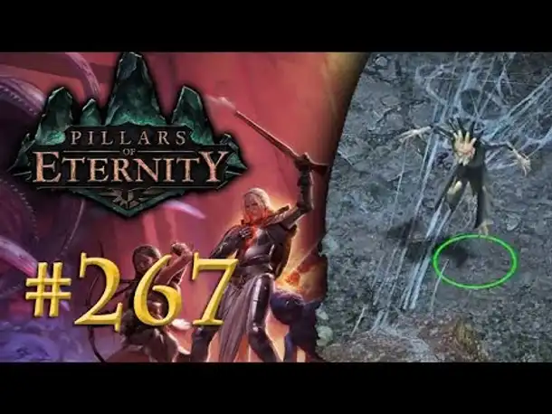 Let's Play Pillars of Eternity #267: Unerwartete Begegnung (Blind /Expert / Deutsch)