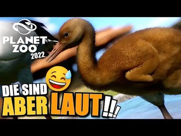 Verrückte Schreihals Vögel - Planet Zoo 2022 | Wetlands DLC