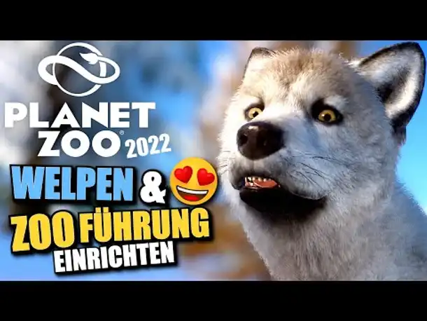 Wolf Welpen & ERSTE Zooführung einrichten - #6 - Planet Zoo 2022