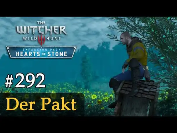 #292: Der Pakt ✦ Let's Play The Witcher 3 ✦ Hearts of Stone (Slow-, Long- & Roleplay)
