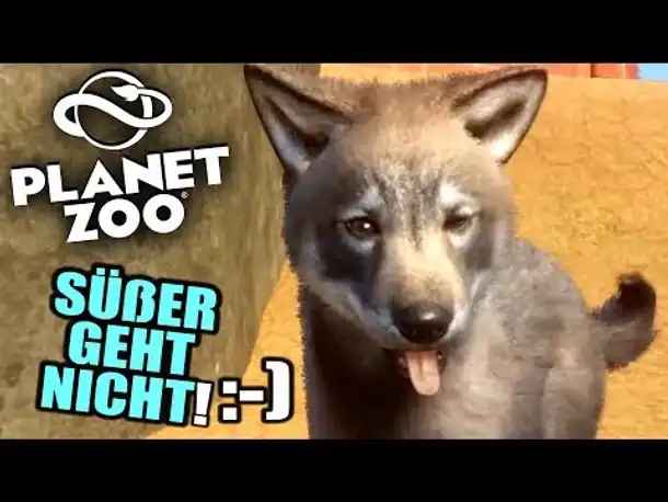 PLANET ZOO Beta - 8 - Kleiner Baby Wolf | Planet Zoo Deutsch ► Franchise Mode