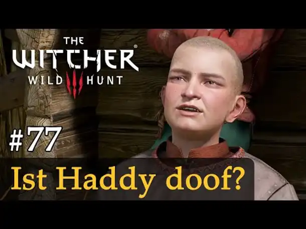 #77: Ist Haddy doof? ✦ Let's Play The Witcher 3 (Next Gen / Slow-, Long- & Roleplay)