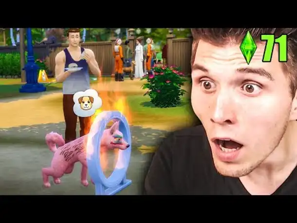 Die FEUERPROBE  ☆ Sims 4 Hunde & Katzen