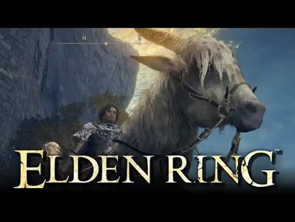 Reiten & Raubüberfall | Elden Ring - Netzwerk Test (Part 4)