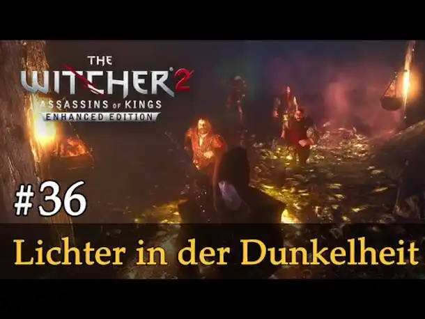 #36: Lichter in der Dunkelheit ✦ Let's Play The Witcher 2 (Blind / Schwer / Deutsch)