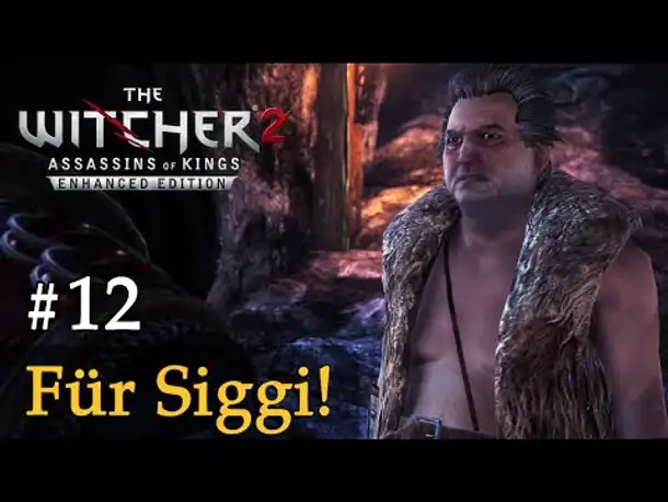 #12: Für Siggi! ✦ Let's Play The Witcher 2 (Blind / Schwer / Deutsch)