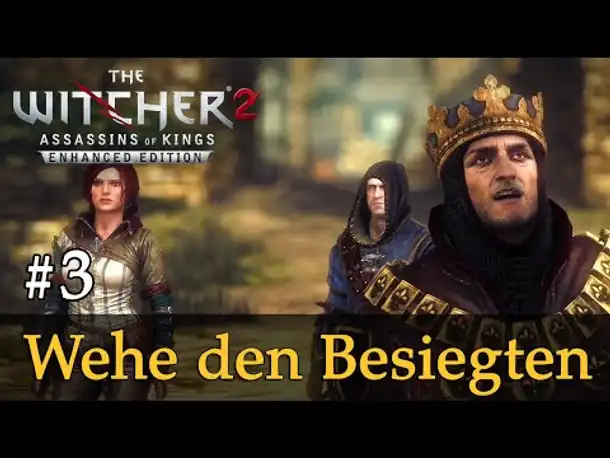 #3: Wehe den Besiegten ✦ Let's Play The Witcher 2 (Blind / Schwer / Deutsch)