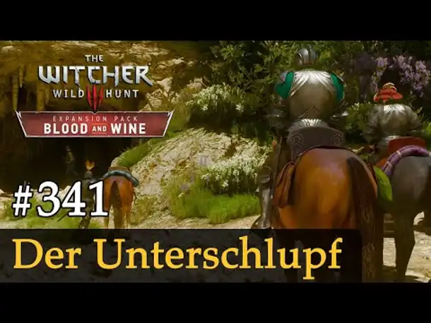 #341: Der Unterschlupf ✦ Let's Play The Witcher 3 ✦ Blood and Wine (Slow-, Long- & Roleplay)
