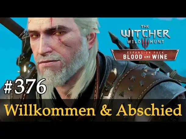 #376: Willkommen und Abschied (Finale) ✦ Let's Play The Witcher 3 ✦ Blood and Wine