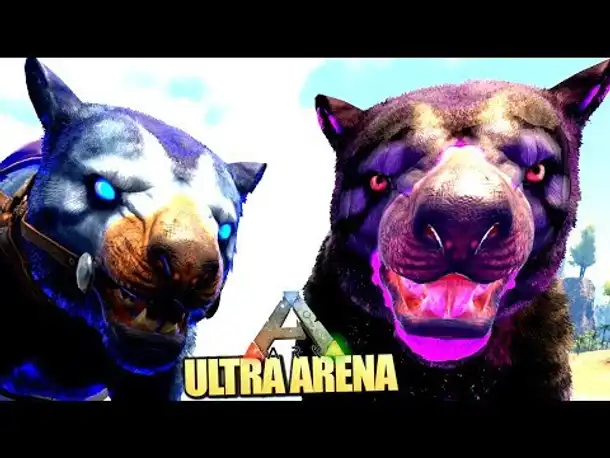 FINALE vs. Thyla Kombi ◄► ARK ULTRA ARENA: Wingman