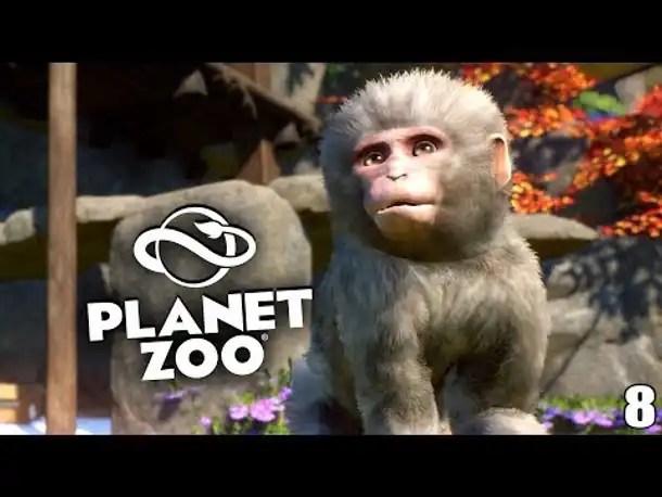 PLANET ZOO - 8 - Das affige Puppenhaus | Speed Build | Planet Zoo Deutsch ► Franchise Mode