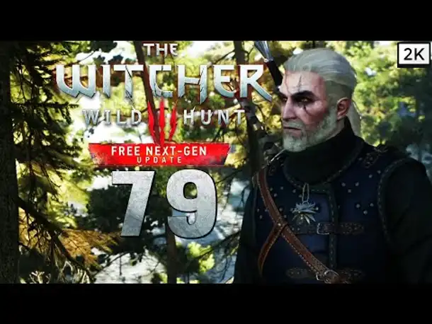Lets Play The Witcher 3: Wild Hunt Remastered (Deutsch) [2K] #79 - Gerald der Box Champion