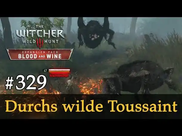 #329: Durchs wilde Toussaint ✦ Let's Play The Witcher 3 ✦ Blood and Wine (Slow-, Long- & Roleplay)