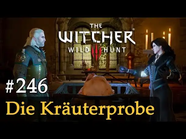 #246: Die Kräuterprobe ✦ Let's Play The Witcher 3 (Next Gen / Slow-, Long- & Roleplay)