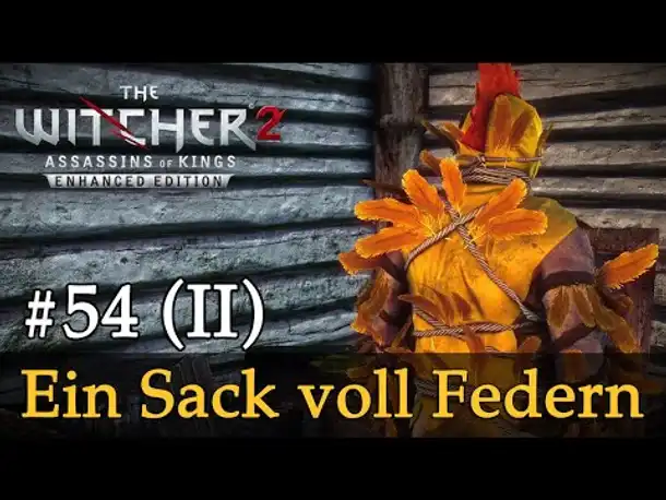 #54 (II): Ein Sack voll Federn ✦ Let's Play The Witcher 2 (Blind / Schwer / Deutsch)