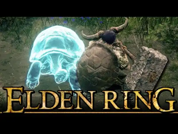 OP Schild und Schildkröten-Rätsel! | ELDEN RING (Part 25)