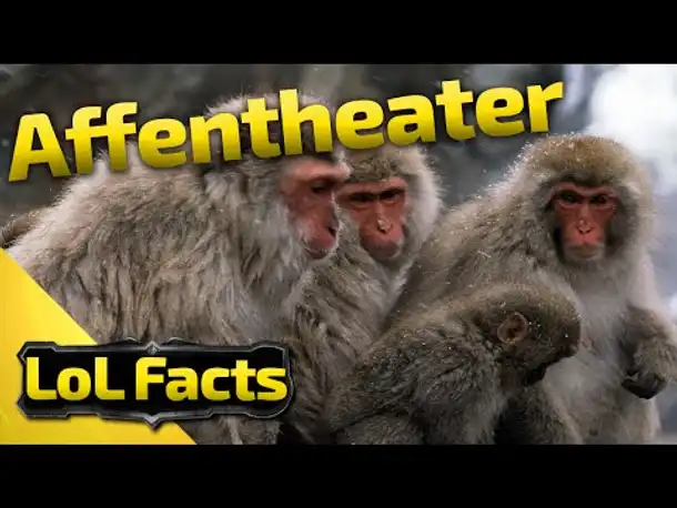 LoL Facts | Affentheater | 26