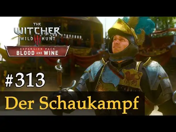 #313: Der Schaukampf ✦ Let's Play The Witcher 3 ✦ Blood and Wine (Slow-, Long- & Roleplay)