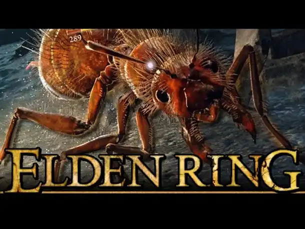 AINSEL, Stadt der Ameisen | ELDEN RING (Part 41)