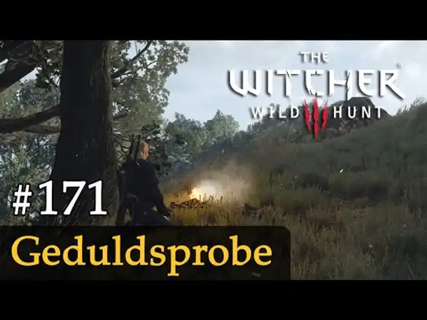 #171: Geduldsprobe ✦ Let's Play The Witcher 3 (Next Gen / Slow-, Long- & Roleplay)