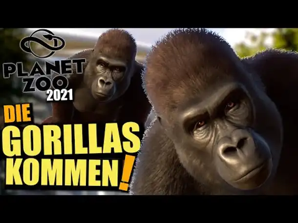 Die Gorillas kommen! - Planet Zoo 2021
