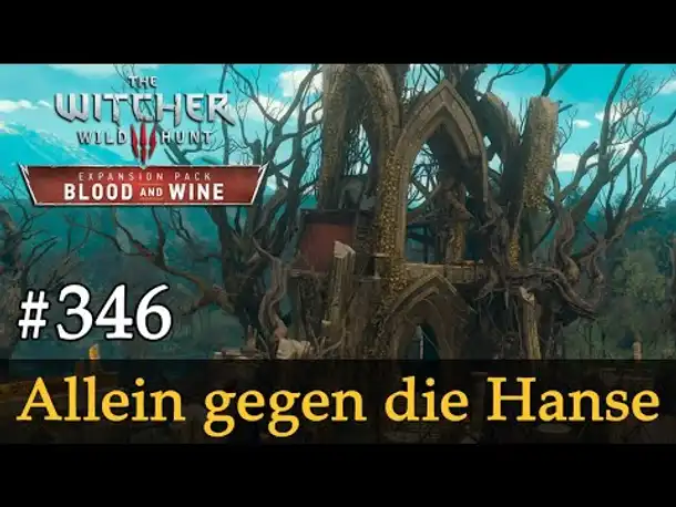 #346: Allein gegen die Hanse ✦ Let's Play The Witcher 3 ✦ Blood and Wine (Slow-, Long- & Roleplay)